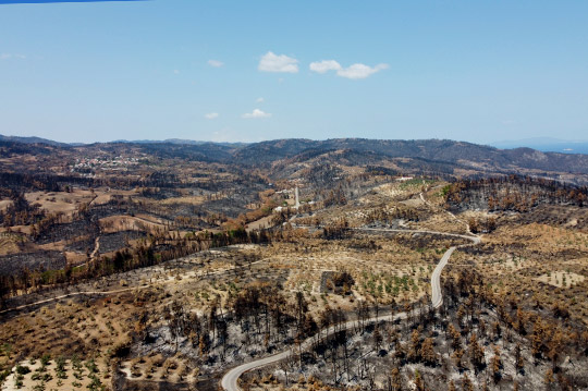 Vista de un terreno con ciertas aéreas quemadas